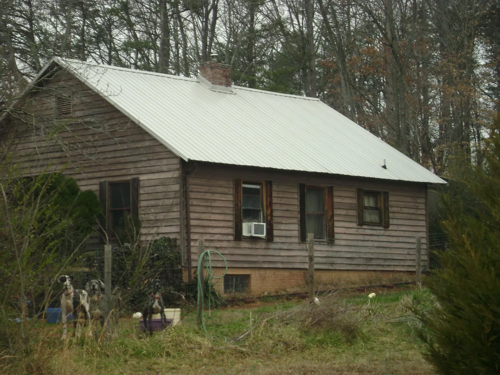 White metal roof on an old wood sided farmhouse, from a Asphalt Shingle Roof Repair job in Arion